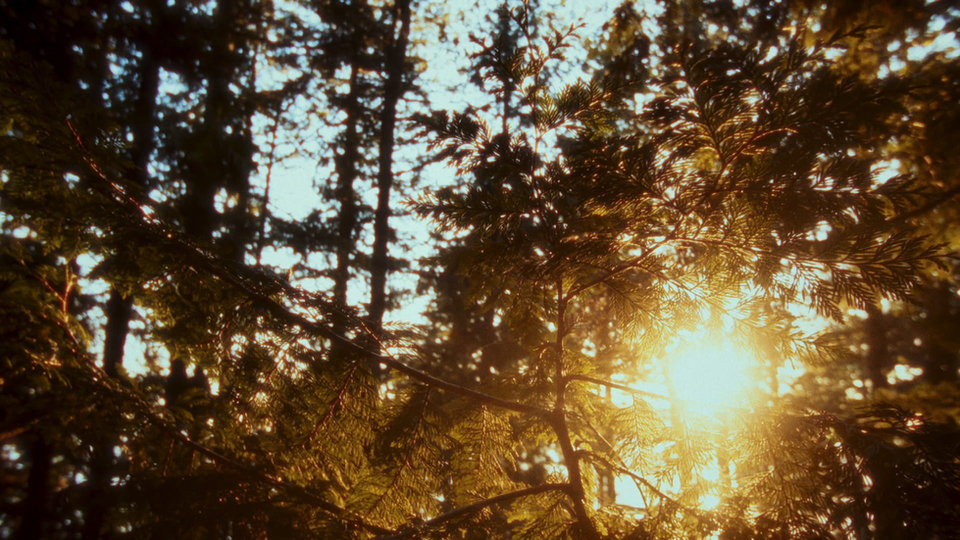 Backpacker film still 19