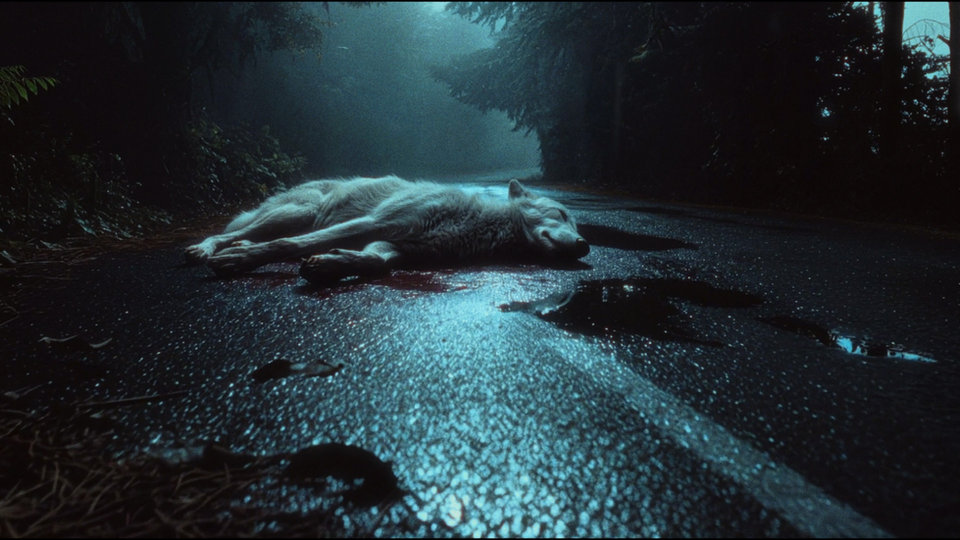 Backpacker film still 17